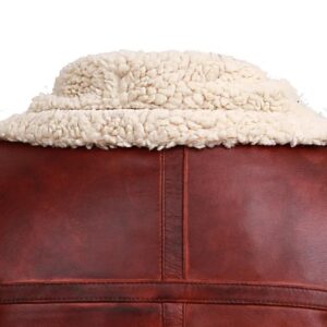 Men Brown Shearling-Style Stand Collar Real Leather Jacket