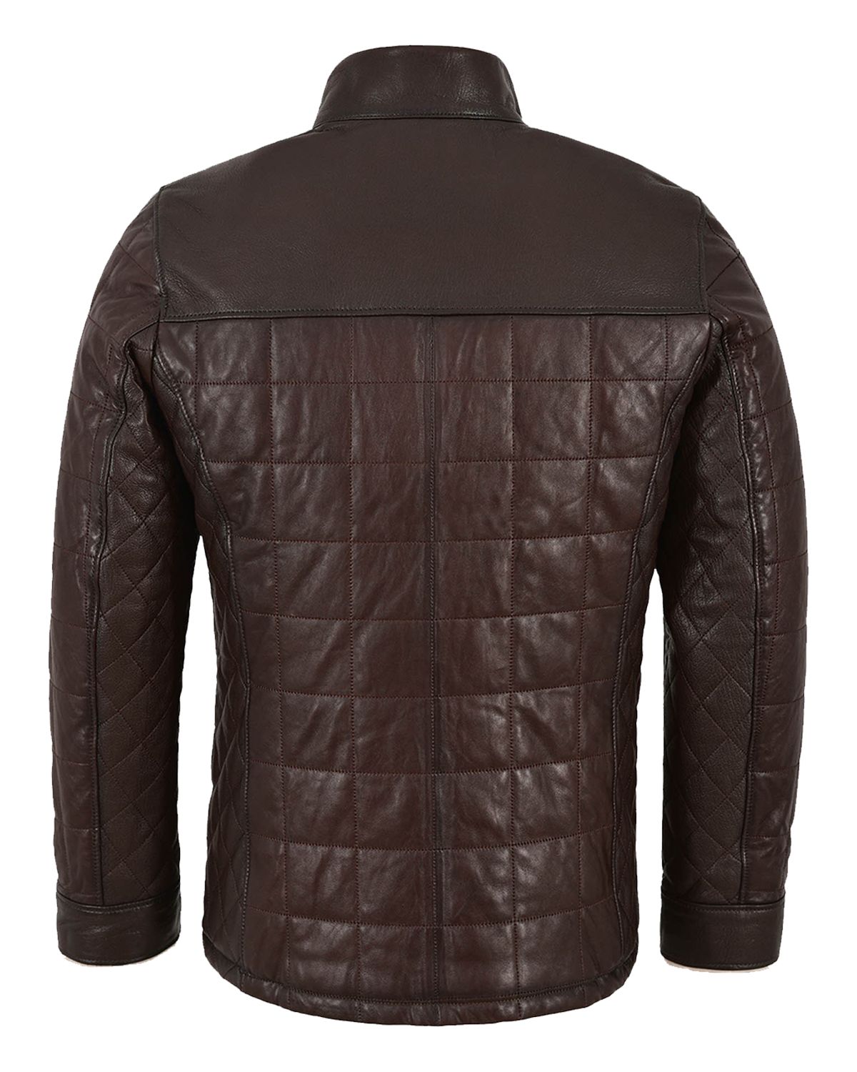 Todd Bomber Leather Jacket (3)